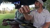詹姆斯选出生涯三大高光时刻：16年大帽伊戈达拉+打活塞天王山+隔扣特里！