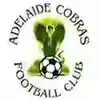 阿德莱德眼镜蛇
